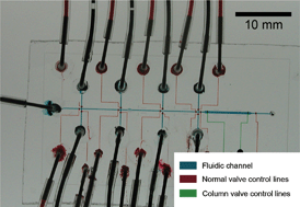Graphical abstract: Solvent resistant microfluidic DNA synthesizer