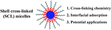 Graphical abstract: Recent advances in shell cross-linked micelles