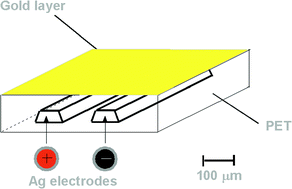 Graphical abstract: Electroacoustic miniaturized DNA-biosensor
