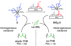 Graphical abstract: Polymerization of racemic β-butyrolactone using supported catalysts: a simple access to isotactic polymers