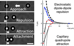 Graphical abstract: Attractive interactions between colloids at the oil–water interface