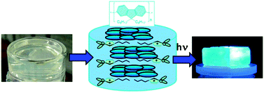 Graphical abstract: Chain confinement promotes β-phase formation in polyfluorene-based photoluminescent ionogels
