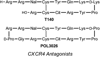 Graphical abstract: Peptide and peptidomimetic ligands for CXC chemokine receptor 4 (CXCR4)