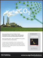 Graphical abstract: Back cover