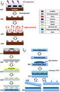 Graphical abstract: A novel technique for micro-patterning proteins and cells on polyacrylamide gels