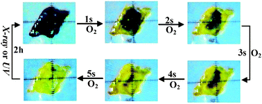 Graphical abstract: Fast detection of oxygen by the naked eye using a stable metal–organic framework containing methyl viologen cations
