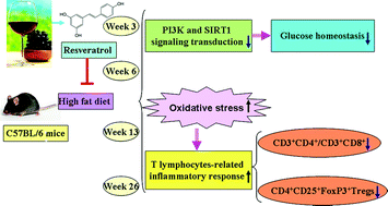 Graphical abstract: Regulatory effects of resveratrol on glucose metabolism and T-lymphocyte subsets in the development of high-fat diet-induced obesity in C57BL/6 mice