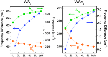 Graphical abstract: Lattice dynamics in mono- and few-layer sheets of WS2 and WSe2