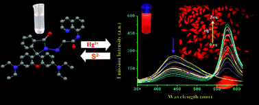 Graphical abstract: A water soluble FRET-based ratiometric chemosensor for Hg(ii) and S2− applicable in living cell staining