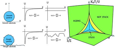 Graphical abstract: Weak adhesion at the mesoscale: particles at an interface