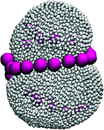 Graphical abstract: Self-assembly of nanoparticles adsorbed on fluid and elastic membranes