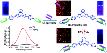 Graphical abstract: Diarylethene based fluorescent switchable probes for the detection of amyloid-β pathology in Alzheimer's disease