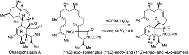 Graphical abstract: Approaches to the total synthesis of chaetochalasin A