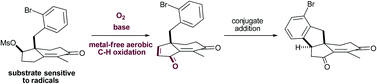 Graphical abstract: Metal-free aerobic C–H oxidation of cyclic enones