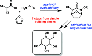 Graphical abstract: New building blocks for iminosugars: a concise synthesis of polyhydroxylated N-alkoxypiperidines through an intramolecular azepine ring contraction