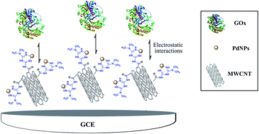 Graphical abstract: Multi-walled carbon nanotubes decorated with palladium nanoparticles as a novel platform for electrocatalytic sensing applications