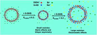 Graphical abstract: Characterization and stability of catanionic vesicles formed by pseudo-tetraalkyl surfactant mixtures