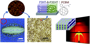 Graphical abstract: A general mechanism for controlling thin film structures in all-conjugated block copolymer:fullerene blends