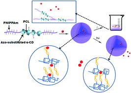 Graphical abstract: The preparation of an azo-substituted polyrotaxane end-capped with PNIPPAAm and its dual stimuli-responsive behavior for drug delivery applications