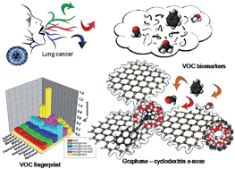 Graphical abstract: Ultrasensitive QRS made by supramolecular assembly of functionalized cyclodextrins and graphene for the detection of lung cancer VOC biomarkers
