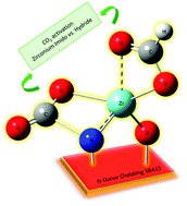 Graphical abstract: CO2 activation through silylimido and silylamido zirconium hydrides supported on N-donor chelating SBA15 surface ligands