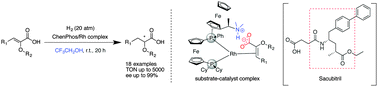 Graphical abstract: Highly enantioselective hydrogenation of α-oxy functionalized α,β-unsaturated acids catalyzed by a ChenPhos–Rh complex in CF3CH2OH