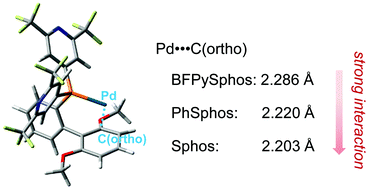 Graphical abstract: Highly electron-poor Buchwald-type ligand: application for Pd-catalysed direct arylation of thiophene derivatives and theoretical consideration of the secondary Pd0–arene interaction