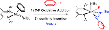 Graphical abstract: C–F sp2 bond functionalization mediated by niobium complexes