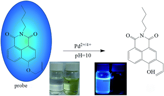 Graphical abstract: Highly selective fluorescence detection of Pd2+/4+ species based on a catalyzed aromatic Claisen rearrangement