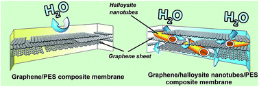 Graphical abstract: Long-lasting antibacterial behavior of a novel mixed matrix water purification membrane