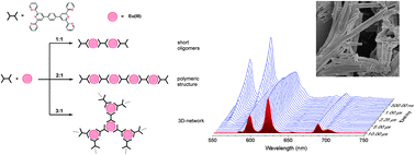 Graphical abstract: New solid-state Eu(iii)-containing metallo-supramolecular polymers: morphology control and optical wave-guiding properties