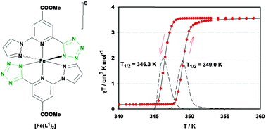 Graphical abstract: A charge neutral iron(ii) complex with an above room temperature spin crossover (SCO) and hysteresis loop