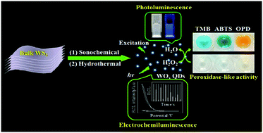 Graphical abstract: Fabrication and multifunctional properties of ultrasmall water-soluble tungsten oxide quantum dots