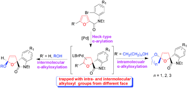 Graphical abstract: Palladium-catalyzed dearomatizing 2,5-alkoxyarylation of furan rings: diastereospecific access to spirooxindoles