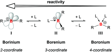 Graphical abstract: Borocation catalysis