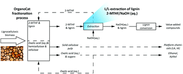 Graphical abstract: Liquid/liquid extraction of biomass-derived lignin from lignocellulosic pretreatments