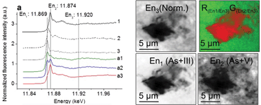 Graphical abstract: Visualization of As(iii) and As(v) distributions in degraded paint micro-samples from Baroque- and Rococo-era paintings