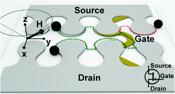 Graphical abstract: Magnetophoretic transistors in a tri-axial magnetic field