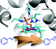 Graphical abstract: Manganese protoporphyrin IX reconstituted myoglobin capable of epoxidation of the C [[double bond, length as m-dash]] C bond with Oxone®