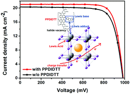 Graphical abstract: A perylene diimide based polymer: a dual function interfacial material for efficient perovskite solar cells