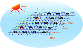 Graphical abstract: MoS2 quantum dot decorated g-C3N4 composite photocatalyst with enhanced hydrogen evolution performance