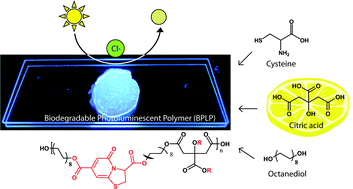 Graphical abstract: Citrate-based fluorescent materials for low-cost chloride sensing in the diagnosis of cystic fibrosis