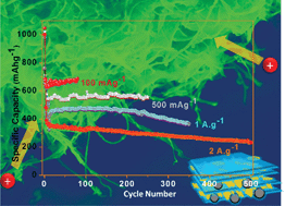Graphical abstract: Exfoliated MoS2 nanosheets confined in 3-D hierarchical carbon nanotube@graphene architecture with superior sodium-ion storage