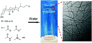 Graphical abstract: Supramolecular hydrogelation with bile acid derivatives: structures, properties and applications
