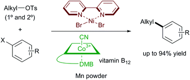 Graphical abstract: Highly nucleophilic vitamin B12-assisted nickel-catalysed reductive coupling of aryl halides and non-activated alkyl tosylates