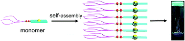 Graphical abstract: Cooperative self-assembly and gelation of organogold(i) complexes via hydrogen bonding and aurophilic Au⋯Au interactions