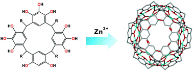 Graphical abstract: A M18L6 metal–organic nanocapsule with open windows using mixed macrocycles