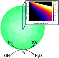 Graphical abstract: Diffusive confinement of free radical intermediates in the OH radical oxidation of semisolid aerosols