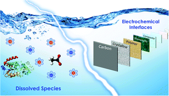 Graphical abstract: Electrosorption at functional interfaces: from molecular-level interactions to electrochemical cell design