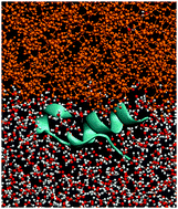 Graphical abstract: Proteins at air–water and oil–water interfaces in an all-atom model